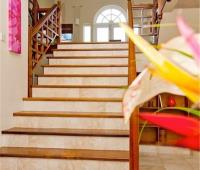 TheGrenadinesCollection