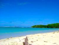 TheGrenadinesCollection