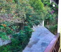 TheGrenadinesCollection