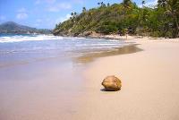 TheGrenadinesCollection