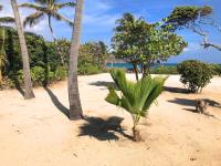 TheGrenadinesCollection