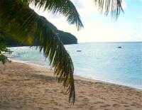 TheGrenadinesCollection