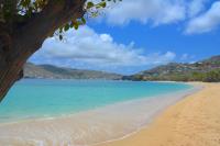 TheGrenadinesCollection