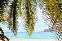 TheGrenadinesCollection