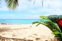 TheGrenadinesCollection