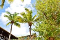 TheGrenadinesCollection