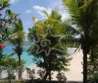 TheGrenadinesCollection