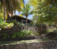 TheGrenadinesCollection