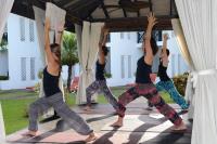 TheGrenadinesCollection