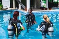 TheGrenadinesCollection