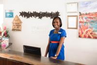 TheGrenadinesCollection