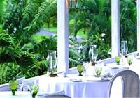 TheGrenadinesCollection