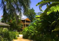 TheGrenadinesCollection