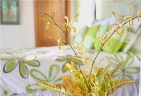 TheGrenadinesCollection