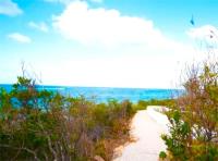 TheGrenadinesCollection