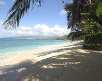 TheGrenadinesCollection