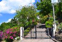 TheGrenadinesCollection