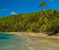 TheGrenadinesCollection