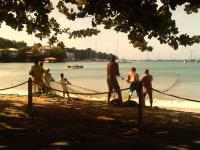 TheGrenadinesCollection