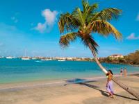 TheGrenadinesCollection