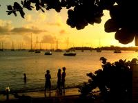 TheGrenadinesCollection