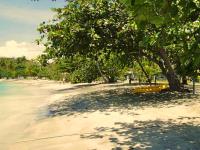 TheGrenadinesCollection