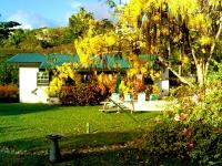 TheGrenadinesCollection