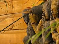 TheGrenadinesCollection