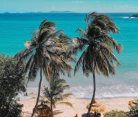 TheGrenadinesCollection