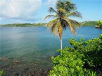 TheGrenadinesCollection