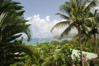 TheGrenadinesCollection