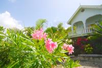 TheGrenadinesCollection