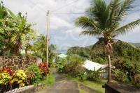 TheGrenadinesCollection