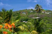 TheGrenadinesCollection