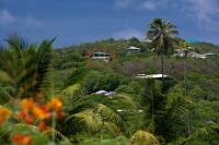 TheGrenadinesCollection