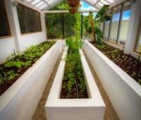 TheGrenadinesCollection