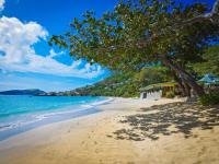 TheGrenadinesCollection