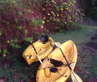 TheGrenadinesCollection