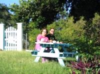 TheGrenadinesCollection