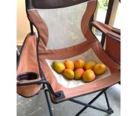 TheGrenadinesCollection