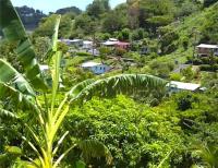 TheGrenadinesCollection