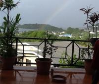 TheGrenadinesCollection