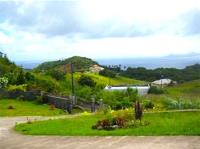 TheGrenadinesCollection