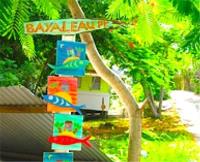 TheGrenadinesCollection