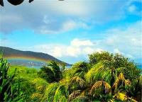 TheGrenadinesCollection