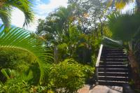 TheGrenadinesCollection