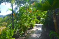 TheGrenadinesCollection