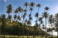 TheGrenadinesCollection