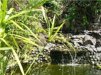 TheGrenadinesCollection