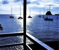 TheGrenadinesCollection